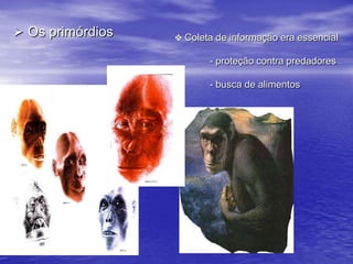  Informações do mundo