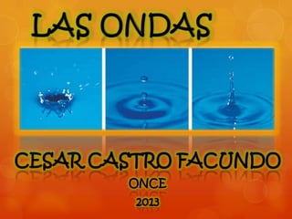 CESAR CASTRO FACUNDO
ONCE
2013
 