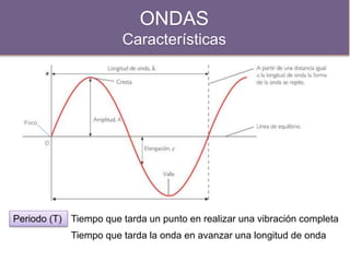 ONDAS
Características
Foco
Periodo (T) Tiempo que tarda un punto en realizar una vibración completa
Tiempo que tarda la onda en avanzar una longitud de onda
 