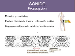 SONIDO
Propagación
Mecánica y Longitudinal
.
Produce vibración del tímpano  Sensación auditiva
Se propaga en línea recta y en todas las direcciones
 