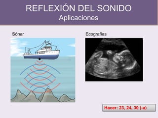 REFLEXIÓN DEL SONIDO
Aplicaciones
Sónar Ecografías
Hacer: 23, 24, 30 (-a)
 