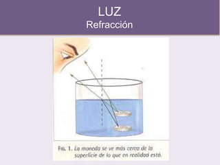 LUZ
Refracción
 