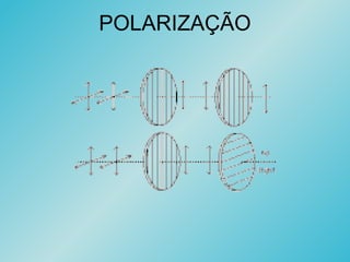 POLARIZAÇÃO
 