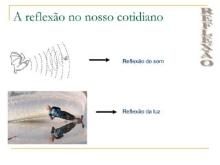 A reflexão no nosso cotidiano


                     Reflexão do som




                     Reflexão da luz
 