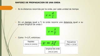 RAPIDEZ DE PROPAGACION DE UNA ONDA
 Es la distancia recorrida por la onda, por cada unidad de tiempo
 En un tiempo igual a T, la onda recorre una distancia igual a su
propia longitud de onda 𝜆
 Como f=1/T, entonces:
 
