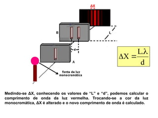 d
.
L
X



L
ΔX
Medindo-se ΔX, conhecendo os valores de “L” e “d”, podemos calcular o
comprimento de onda da luz vermelha. Trocando-se a cor da luz
monocromática, ΔX é alterado e o novo comprimento de onda é calculado.
 