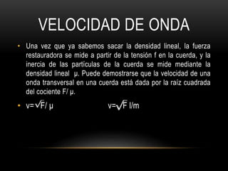 VELOCIDAD DE ONDA
• Una vez que ya sabemos sacar la densidad lineal, la fuerza
restauradora se mide a partir de la tensión f en la cuerda, y la
inercia de las partículas de la cuerda se mide mediante la
densidad lineal μ. Puede demostrarse que la velocidad de una
onda transversal en una cuerda está dada por la raíz cuadrada
del cociente F/ μ.
• v= F/ μ v= F l/m
 