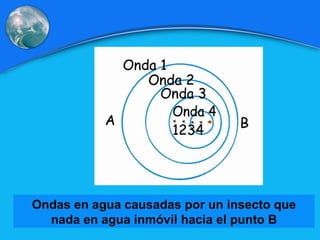 Ondas en agua causadas por un insecto que nada en agua inmóvil hacia el punto B 