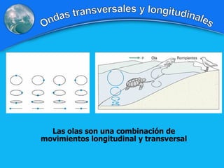 Las olas son una combinación de movimientos longitudinal y transversal Ondas transversales y longitudinales 