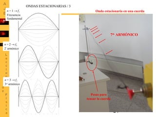 24
Onda estacionaria en una cuerda
7th
ARMÓNICO
Pesas para
tensar la cuerda
n = 1 → f1
Frecuencia
fundamental
n = 2 → f2
2º
armónico
n = 3 → f3
3er
armónico
ONDAS ESTACIONARIAS / 3
 