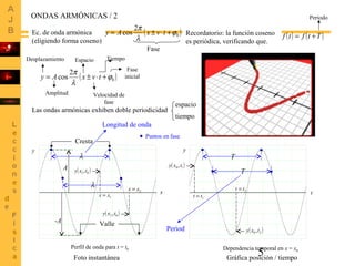5Dependencia temporal en x = x0
t
y
Perfil de onda para t = t0
y
x
ONDAS ARMÓNICAS / 2
( )0
2
cos ϕ
λ
π
+⋅±= tvxAy
Ec. de onda armónica
(eligiendo forma coseno)
Velocidad de
fase
Espacio Tiempo
Recordatorio: la función coseno
es periódica, verificando que.
Las ondas armónicas exhiben doble periodicidad
( ) ( )Ttftf +=
Periodo
( )0
2
cos ϕ
λ
π
+⋅±= tvxAy
Fase
Amplitud
Fase
inicial
Desplazamiento
1tt =
( )10 ,txy
2tt =
( )20 ,txy
T
T
espacio
tiempo
Valle
Cresta
A
-A
( )01,txy
1xx =
( )02 ,txy
2xx =
Puntos en fase
λ
Longitud de onda
Period
λ
Foto instantánea Gráfica posición / tiempo
 