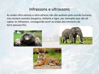 Infrassons e ultrassons
As ondas infra-sônicas e ultra-sônicas não são audíveis pelo ouvido humano,
mas existem animais (toupeira, elefante e tigre, por exemplo) que são de
captar os infrassons, conseguindo ouvir as ondas dos tremores de
terra (poucos Hz).
 