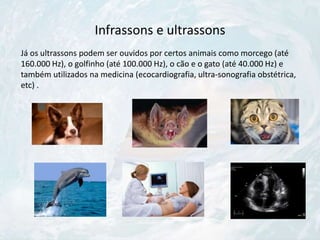 Infrassons e ultrassons
Já os ultrassons podem ser ouvidos por certos animais como morcego (até
160.000 Hz), o golfinho (até 100.000 Hz), o cão e o gato (até 40.000 Hz) e
também utilizados na medicina (ecocardiografia, ultra-sonografia obstétrica,
etc) .
 
