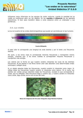 P
“Las ondas en la naturaleza” Pág 14
Proyecto Newton
“Las ondas en la naturaleza”
Unidad Didáctica 2º E.S.O
Utilizamos rayos infrarrojos en los equipos de visión nocturna, cuando la cantidad de luz
visible es insuficiente para ver los objetos. En los mandos a distancia de los aparatos
electrónicos. O bien para transferir datos a corta distancia entre un ordenador y sus
periféricos.
3.5. Luz visible
La luz es la parte de las ondas electromagnéticas que puede ser percibida por el ojo humano.
Fuente Wikipedia
A cada color le corresponde una longitud de onda distinta y por lo tanto una frecuencia
distinta.
Así pues, a los tonos rojos le corresponde menores frecuencias y transportan menos
energía, mientras que a los tonos violetas le corresponden mayores frecuencias y
transportan más energía.
Los colores son la forma en que nuestro cerebro interpreta las luces de las distintas
frecuencias. Ni las plantas ni las flores tienen color sólo absorben unas determinadas ondas
luminosas y reflejan otras.
Si un objeto absorbe todas las frecuencias, nuestro cerebro lo interpreta como negro. Si
refleja todas las frecuencias nuestro cerebro lo interpreta como blanco. Po lo tanto, las
plantas son verdes porque absorben todas las frecuencias, excepto la que corresponde al
verde, que es reflejada. Esta frecuencia llega a nuestro ojo, y nuestro cerebro la interpreta
como verde. Algo similar ocurre con el azul del cielo.
Banco de imágenes del ITE autor fotografía Jorge Martínez Huelves
 