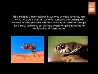 Esta emissão é explorada por dispositivos de visão nocturna, bem
como por alguns animais, como os mosquitos, que conseguem
detectar as radiações infravermelhas emitidas por outros e persegui-
los à noite, bem como por algumas serpentes que habitualmente
estão activas durante a noite.
 
