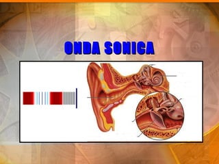 ONDA SONICA
 