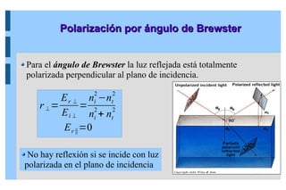 No hay reflexión si se incide con luz
polarizada en el plano de incidencia
r ⊥=
Er ⊥
Ei ⊥
=
ni
2
−nt
2
ni
2
+ nt
2
Er∥=0
Polarización por ángulo de Brewster
Polarización por ángulo de Brewster
Para el ángulo de Brewster la luz reflejada está totalmente
polarizada perpendicular al plano de incidencia.
 