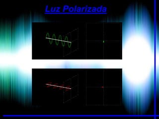 Luz Polarizada

 