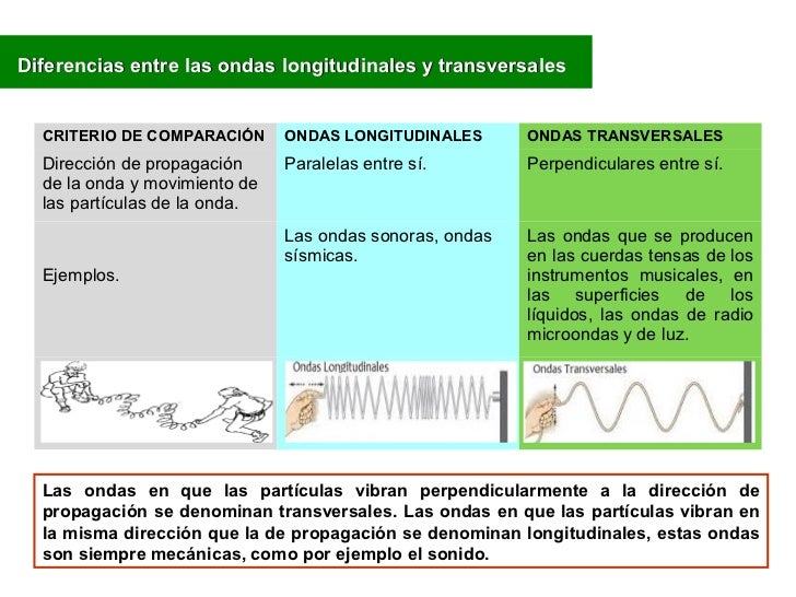 diferencias y semejanzas entre ondas transversales y longitudinales