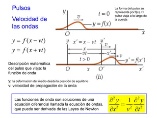 Pulsos 
Velocidad de 
las ondas 
La forma del pulso se 
representa por f(x). El 
pulso viaja a lo largo de 
la cuerda 
y  f x  
vt 
  
( ) 
y f x vt 
( ) 
Descripción matemática 
del pulso que viaja: la 
función de onda 
y: la deformación del medio desde la posición de equilibrio 
v: velocidad de propagación de la onda 
Las funciones de onda son soluciones de una 
ecuación diferencial llamada la ecuación de ondas, 
que puede ser derivada de las Leyes de Newton 
2 
2 
2 y 
1 
2 2 
t 
y 
x v 
 
 
 
 
 
 
