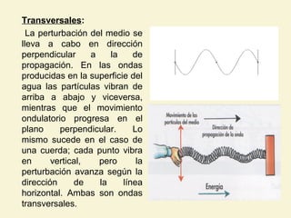 Transversales:
La perturbación del medio se
lleva a cabo en dirección
perpendicular a la de
propagación. En las ondas
producidas en la superficie del
agua las partículas vibran de
arriba a abajo y viceversa,
mientras que el movimiento
ondulatorio progresa en el
plano perpendicular. Lo
mismo sucede en el caso de
una cuerda; cada punto vibra
en vertical, pero la
perturbación avanza según la
dirección de la línea
horizontal. Ambas son ondas
transversales.
 