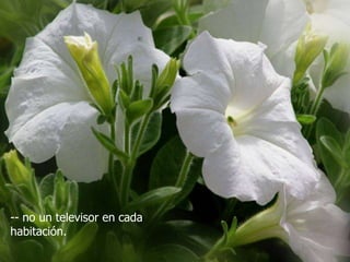 -- no un televisor en cada
habitación.
 