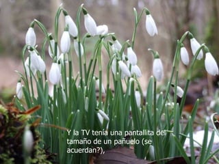 Y la TV tenía una pantallita del
tamaño de un pañuelo (se
acuerdan?),
 