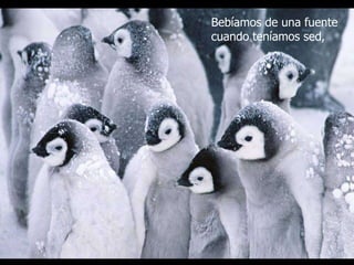 Bebíamos de una fuente
cuando teníamos sed,
 