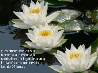 y los chicos iban en sus
bicicletas a la escuela o
caminaban, en lugar de usar a
la mamá como un servicio de
taxi de 24 horas.
 