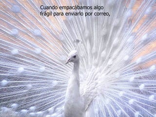 Cuando empacábamos algo frágil para enviarlo por correo,  