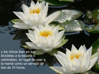 y los chicos iban en sus bicicletas a la escuela o caminaban, en lugar de usar a la mamá como un servicio de taxi de 24 horas. 