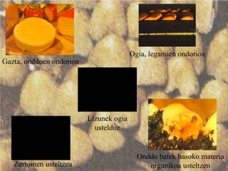 Onddo batek basoko materia
organikoa usteltzen
Gazta, onddoen ondorioa
Ogia, legamien ondorioa
Zurtoinen usteltzea
Lizunek ogia
ustelduz
 