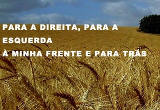 PARA A DIREITA, PARA A
ESQUERDA
À MINHA FRENTE E PARA TRÁS
 