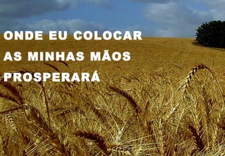 ONDE EU COLOCAR
AS MINHAS MÃOS
PROSPERARÁ
 