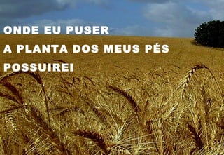 ONDE EU PUSER
A PLANTA DOS MEUS PÉS
POSSUIREI
 