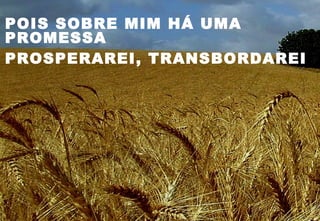 POIS SOBRE MIM HÁ UMA
PROMESSA
PROSPERAREI, TRANSBORDAREI
 
