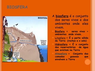 BIOSFERA

           A biosfera é o conjunto
            dos seres vivos e dos
            ambientes onde eles
            vivem.
              Biosfera =  seres vivos +
               ambientes onde vivem.
              Litosfera = É a parte sólida
               da Terra (rochas e o solo)
              Hidrosfera = É o conjunto
               dos reservatórios de água
               que existem na Terra
              Atmosfera = Conjunto das
               camadas     gasosas  que
               envolvem a Terra
 