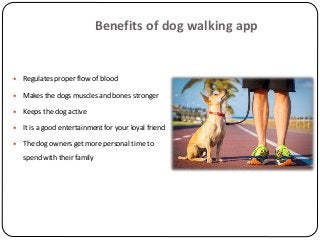 Benefits of dog walking app
 Regulates proper flow of blood
 Makes the dogs muscles and bones stronger
 Keeps the dog active
 It is a good entertainment for your loyal friend
 The dog owners get more personal time to
spend with their family
 