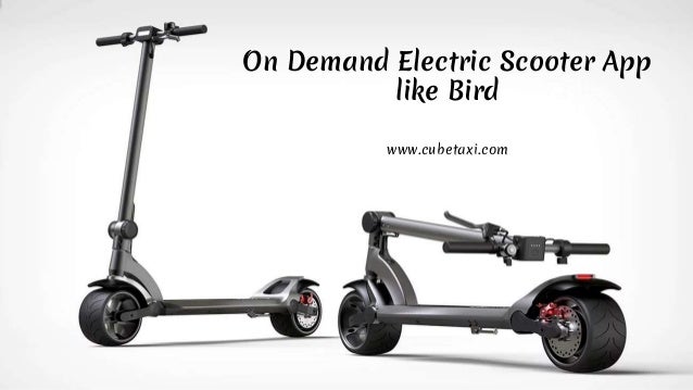bird electric scooter