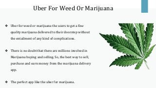 Uber For Weed Or Marijuana
❖ Uber for weed or marijuana the users to get a fine
quality marijuana delivered to their doorstep without
the entailment of any kind of complications.
❖ There is no doubt that there are millions involved in
Marijuana buying and selling. So, the best way to sell,
purchase and earn money from the marijuana delivery
app.
❖ The perfect app like the uber for marijuana.
 