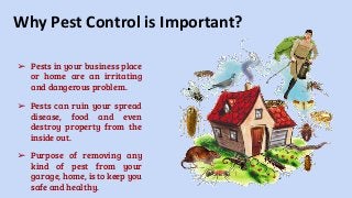 Why Pest Control is Important?
➢ Pests in your business place
or home are an irritating
and dangerous problem.
➢ Pests can ruin your spread
disease, food and even
destroy property from the
inside out.
➢ Purpose of removing any
kind of pest from your
garage, home, is to keep you
safe and healthy.
 