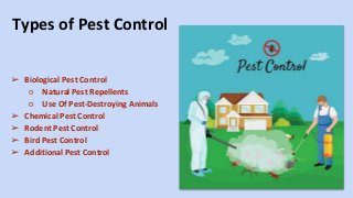 Types of Pest Control
➢ Biological Pest Control
○ Natural Pest Repellents
○ Use Of Pest-Destroying Animals
➢ Chemical Pest Control
➢ Rodent Pest Control
➢ Bird Pest Control
➢ Additional Pest Control
 
