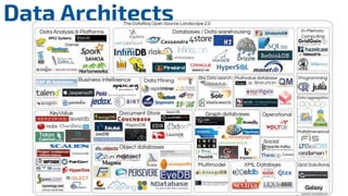 Data Architects
 