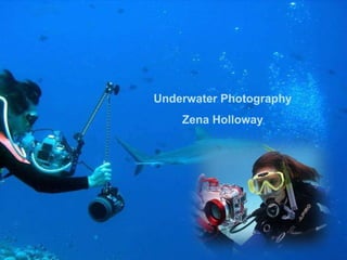 Underwater Photography Zena Holloway 