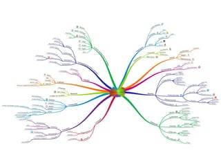 Onderzoeksverslag examenklas presentatie