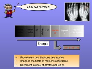 LES RAYONS X ,[object Object],[object Object],[object Object],visible rayons cosmiques rayons γ rayons X IR ondes radio micro- ondes UV Énergie 10 -8  à 10 -11  m 