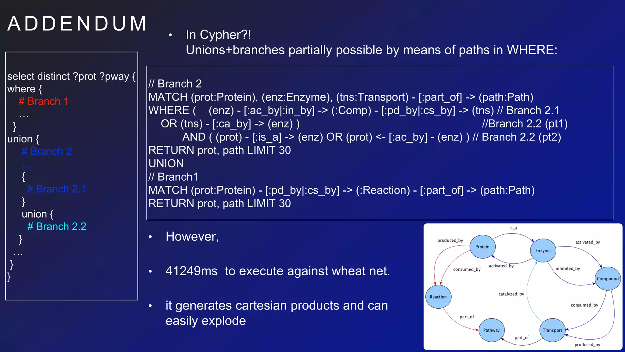 A D D E N D U M
select distinct ?prot ?pway {
where {
# Branch 1
…
}
union {
# Branch 2
…
{
# Branch 2.1
}
union {
# Branch 2.2
}
…
}
}
• In Cypher?!
Unions+branches partially possible by means of paths in WHERE:
// Branch 2
MATCH (prot:Protein), (enz:Enzyme), (tns:Transport) - [:part_of] -> (path:Path)
WHERE ( (enz) - [:ac_by|:in_by] -> (:Comp) - [:pd_by|:cs_by] -> (tns) // Branch 2.1
OR (tns) - [:ca_by] -> (enz) ) //Branch 2.2 (pt1)
AND ( (prot) - [:is_a] -> (enz) OR (prot) <- [:ac_by] - (enz) ) // Branch 2.2 (pt2)
RETURN prot, path LIMIT 30
UNION
// Branch1
MATCH (prot:Protein) - [:pd_by|:cs_by] -> (:Reaction) - [:part_of] -> (path:Path)
RETURN prot, path LIMIT 30
• However,
• 41249ms to execute against wheat net.
• it generates cartesian products and can
easily explode
 
