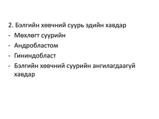 2. Бэлгийн хөвчний суурь эдийн хавдар
- Мөхлөгт суурийн
- Андробластом
- Гининдобласт
- Бэлгийн хөвчний суурийн ангилагдаагүй
хавдар
 