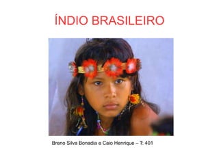 ÍNDIO BRASILEIRO
Breno Silva Bonadia e Caio Henrique – T: 401
 