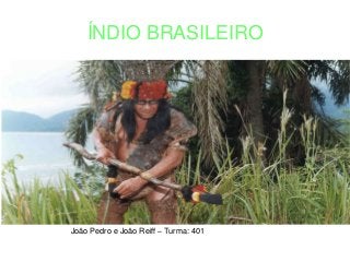 ÍNDIO BRASILEIRO
João Pedro e João Reiff – Turma: 401
 